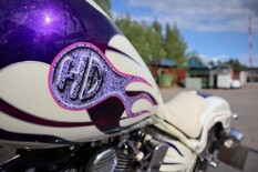 Harley-Davidson Softail Custom Softail Custom - Yksilö. Myös ilman käsirahaa!!, vm. 1995, 14 tkm (12 / 15)