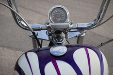 Harley-Davidson Softail Custom Softail Custom - Yksilö. Myös ilman käsirahaa!!, vm. 1995, 14 tkm (4 / 15)