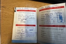 Toyota Aygo 4D AYGO HATCHBACK 1.0-KGB10L-AHMGKW/234, vm. 2006, 228 tkm (13 / 14)